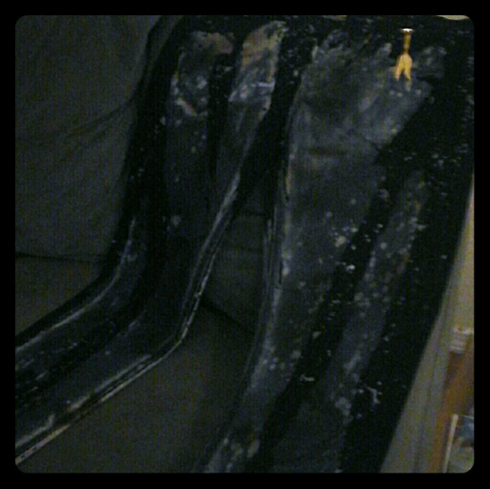 Blue and black Robins Jean